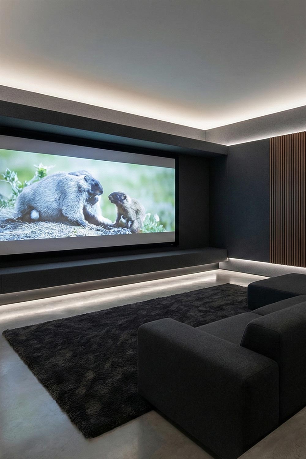 Modern home theater with dark gray walls, integrated LED lighting, and a large plush sofa