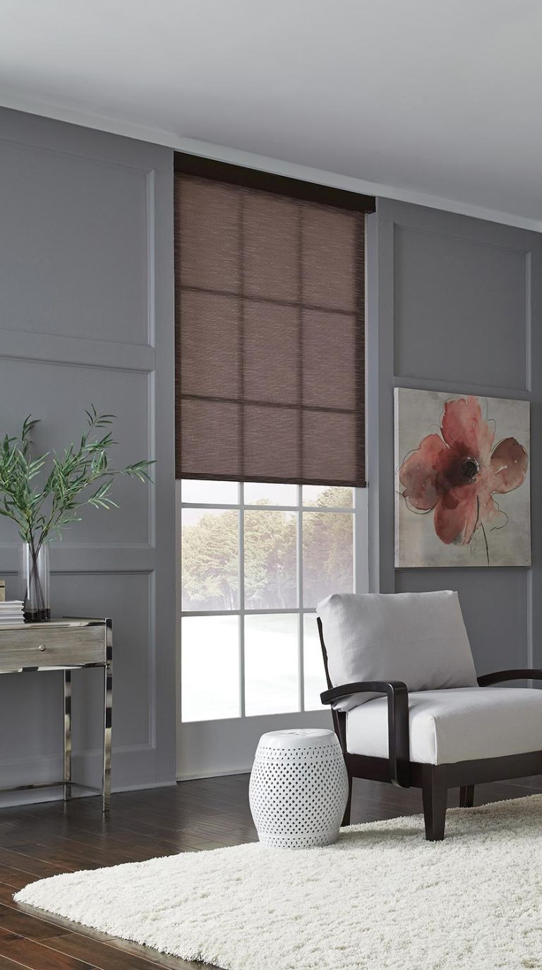 Lutron window shades