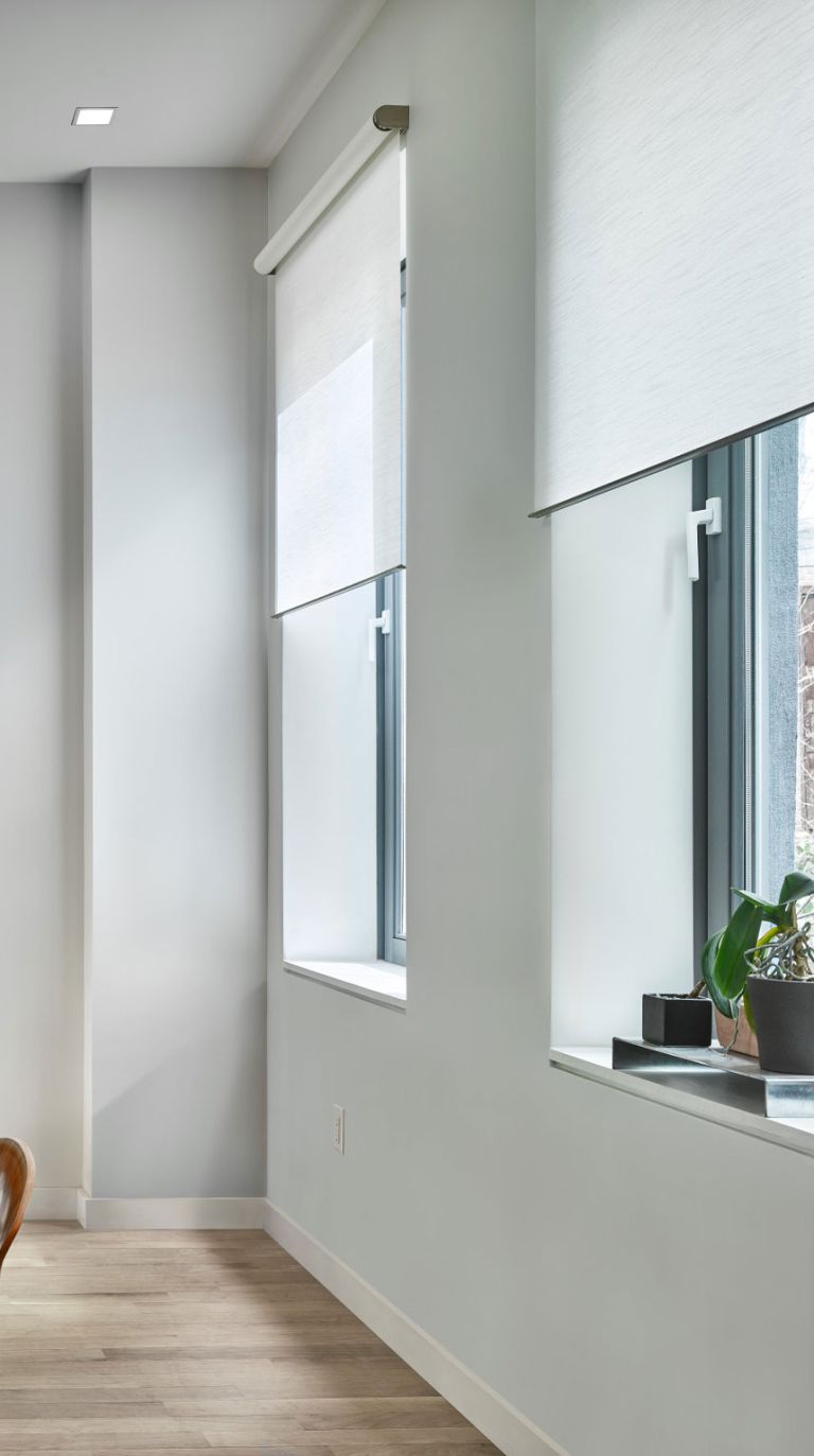 Lutron window shades