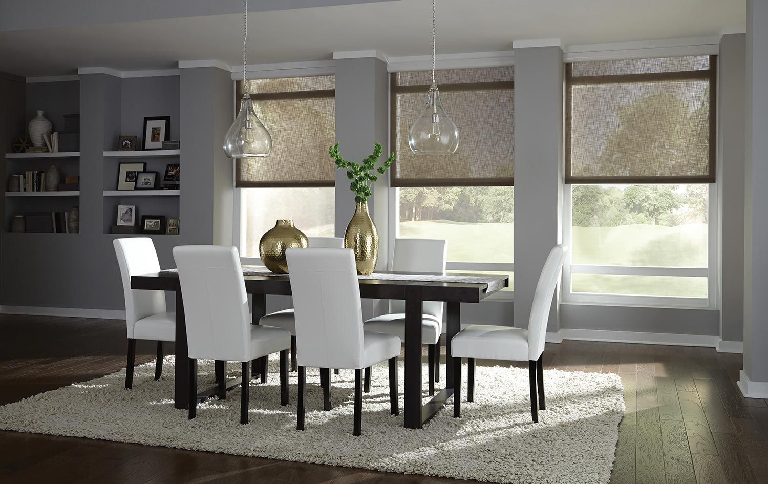 Lutron Shades
