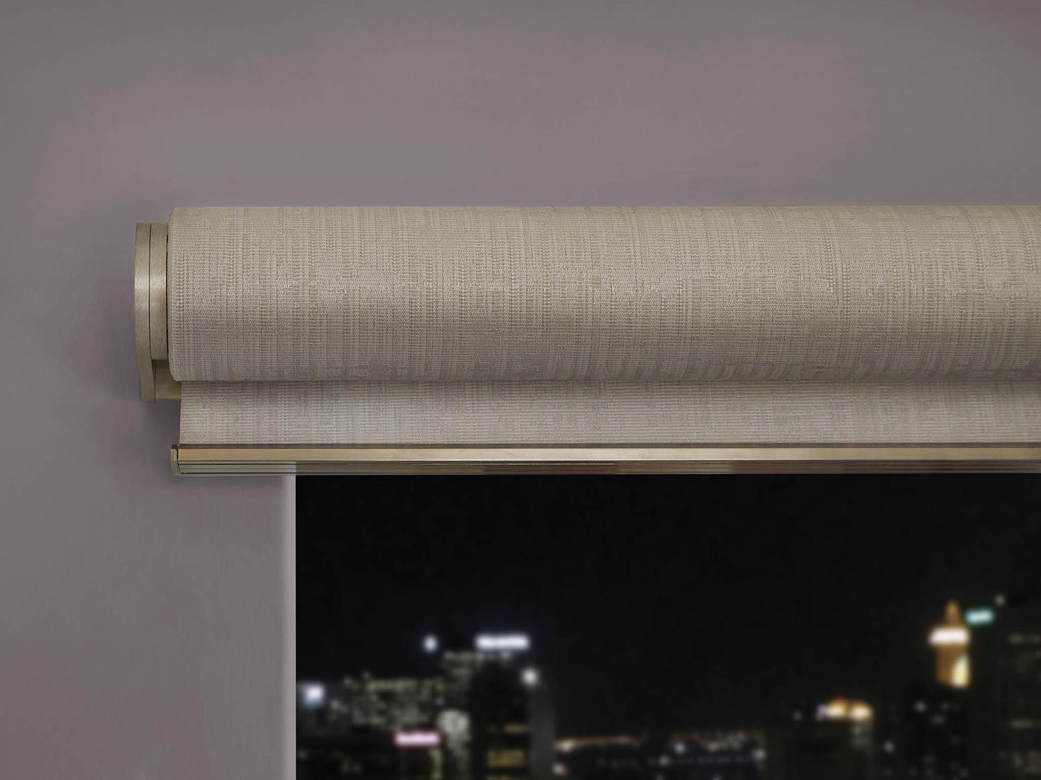 Lutron Shades