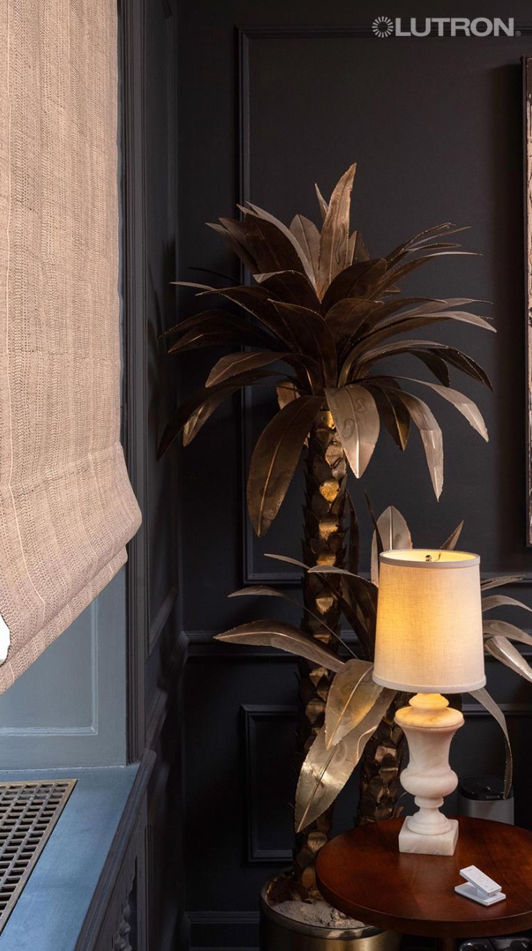 Elegant indoor corner with dark walls and gold decor