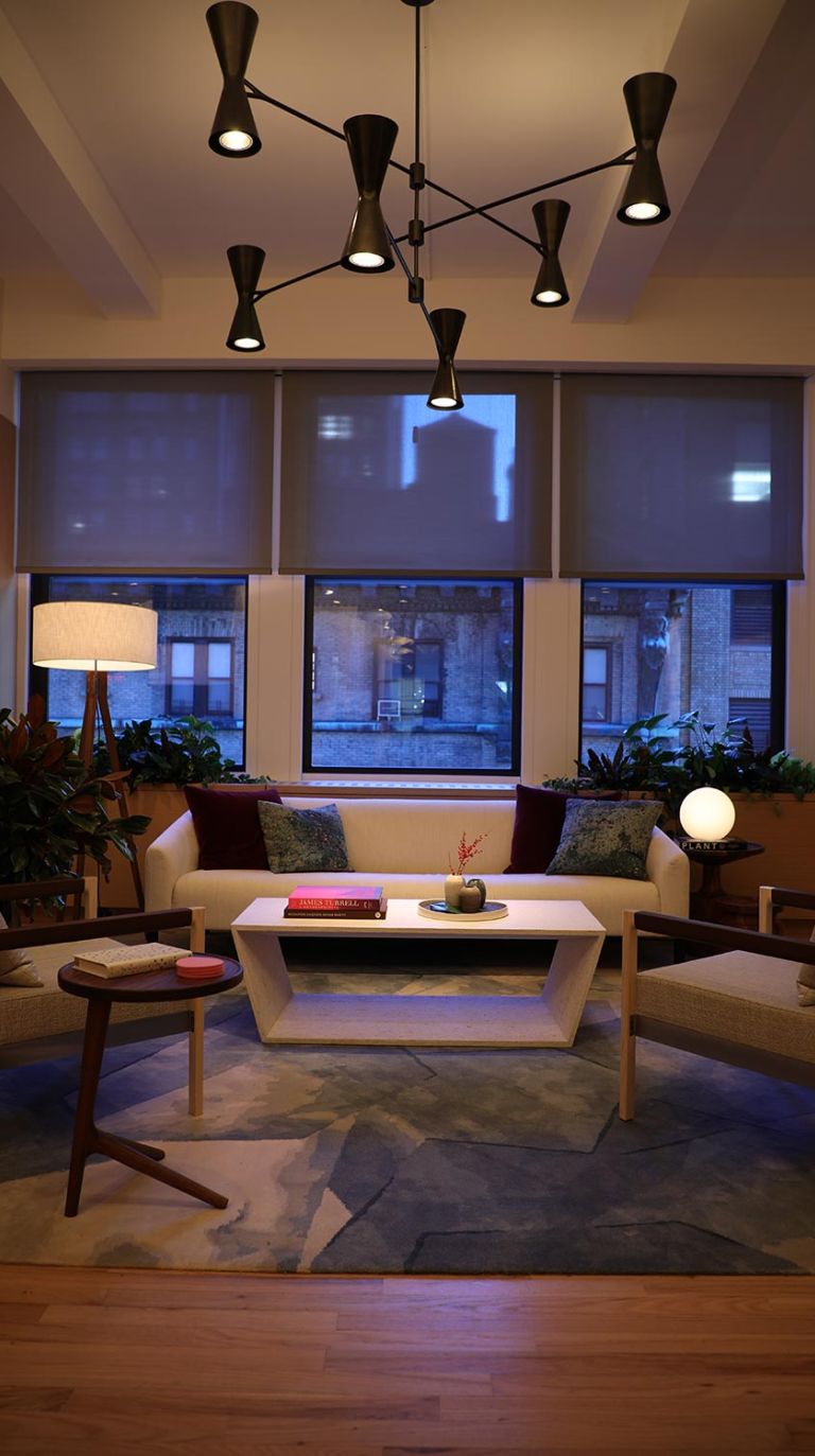 Lutron window shades