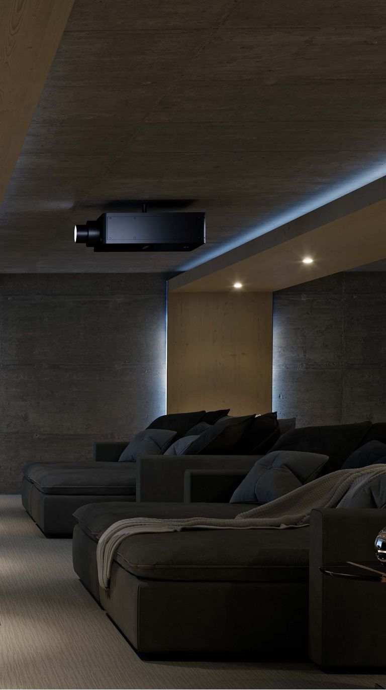 Sony projector hidden audio video nexus 21 technology